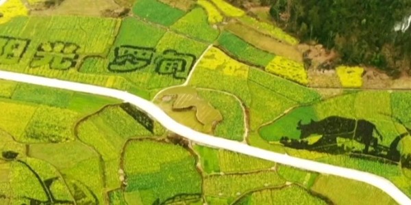 土地的涅槃｜全域土地綜合整治為何爆火？設(shè)計(jì)院如何搶占風(fēng)口？